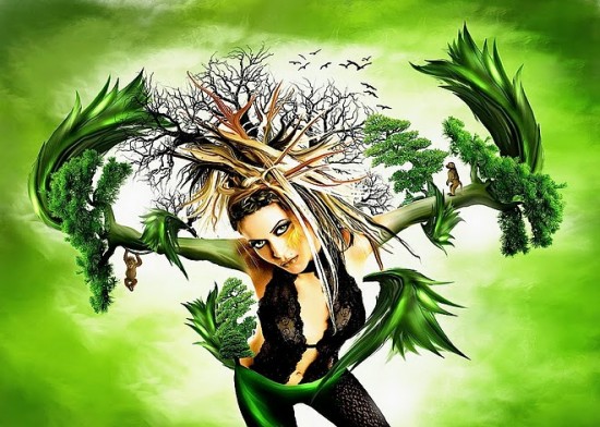 The+green+woman+web