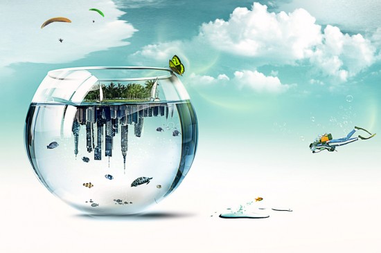 aquarium+world+web aquarium+world+web