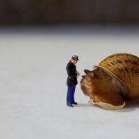 Fotografias de miniaturas em macro por Jean-Joseph Renucci