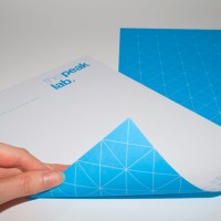 Identidade Visual da the peak lab