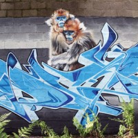 SmugOne e suas impressionantes obras de Street Art