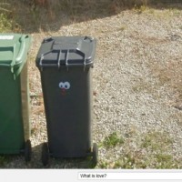 Respostas para as perguntas da vida pelo Google