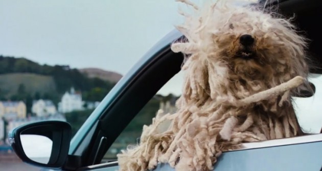 cute-new-ad-shows-there-s-a-volkswagen-for-every-dog-video-69266-7