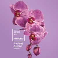 Pantone revela a cor do ano de 2014