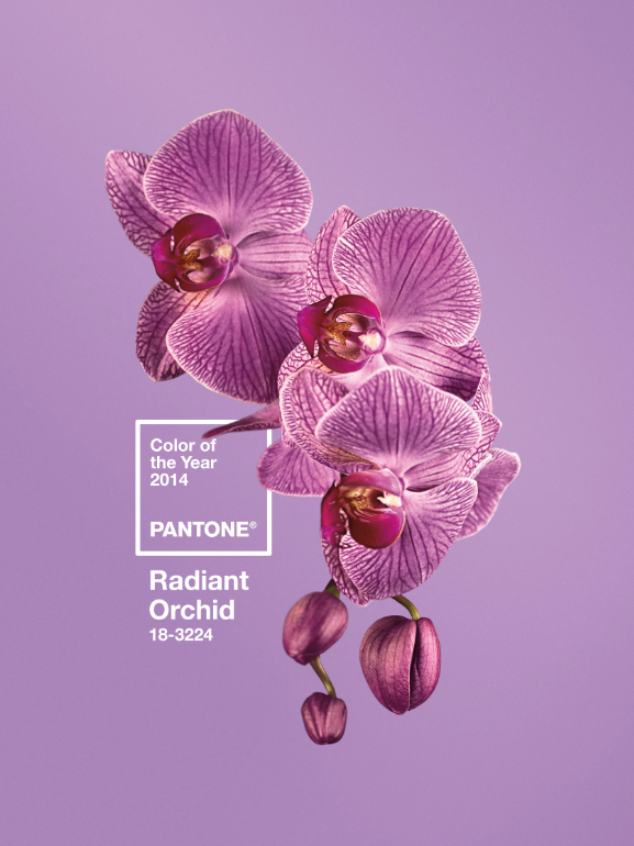 pantone color of 2014