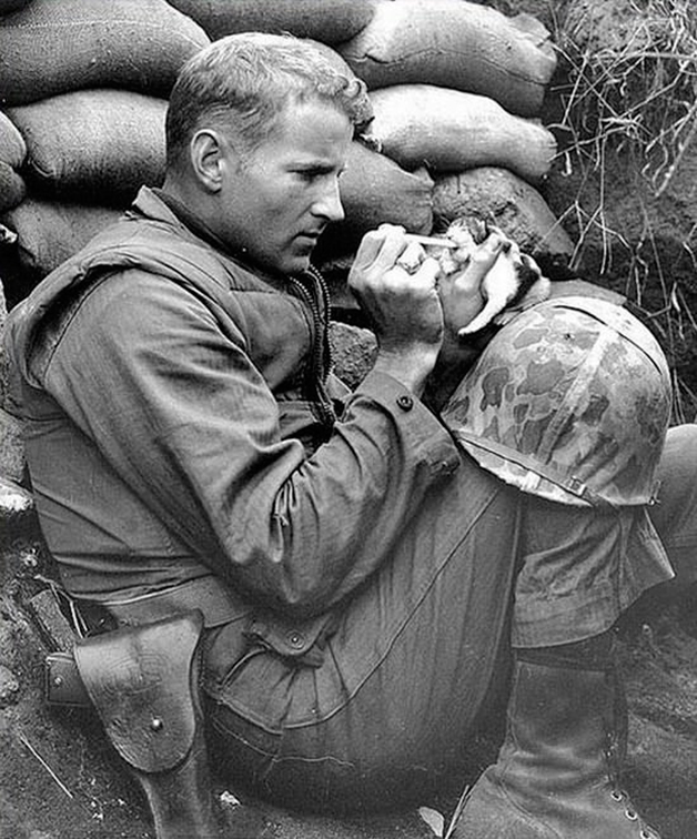 O sargento Frank Praytor cuida de um gatinho de duas semanas em plena guerra das Coreias.