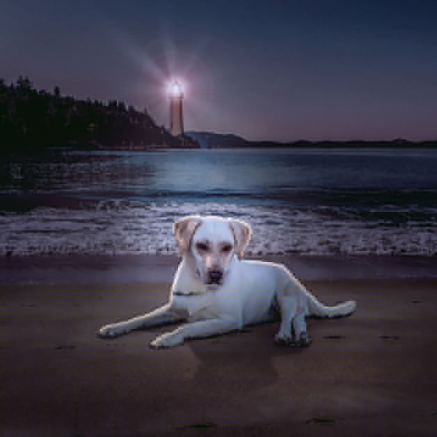 Milly-s1__880