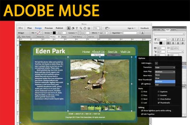 Curso de Adobe Muse