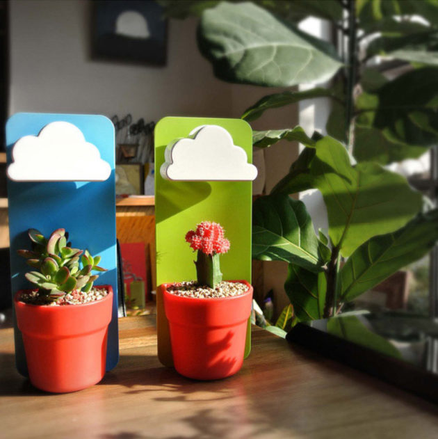 10 Vaso Flores na Chuva