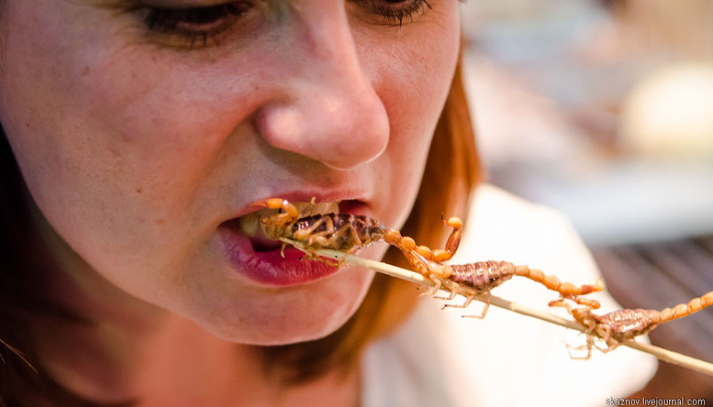 Где едят червей. Экзотические блюда. Еда из насекомых.