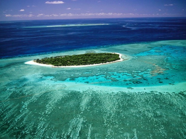 Lady_Musgrave_Island_Great_Barrier_Reef1