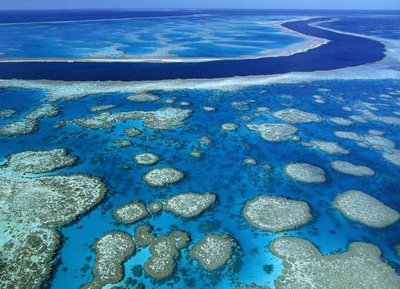 barreira-de-coral-australia