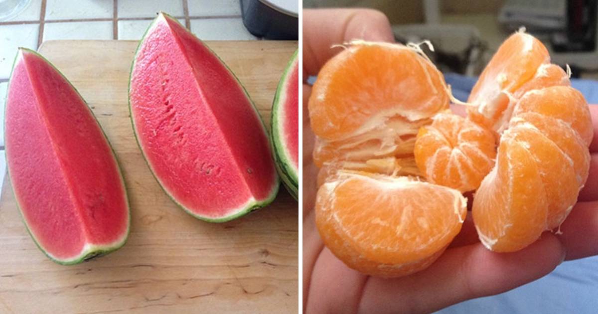 sorte com alimentos