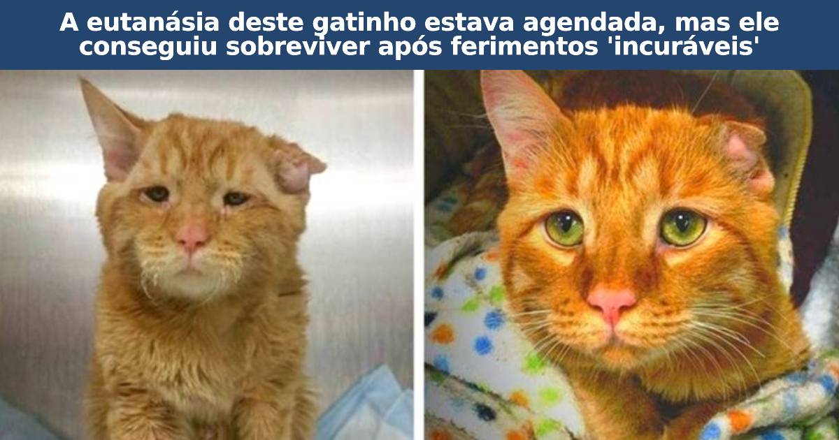 antes e depois