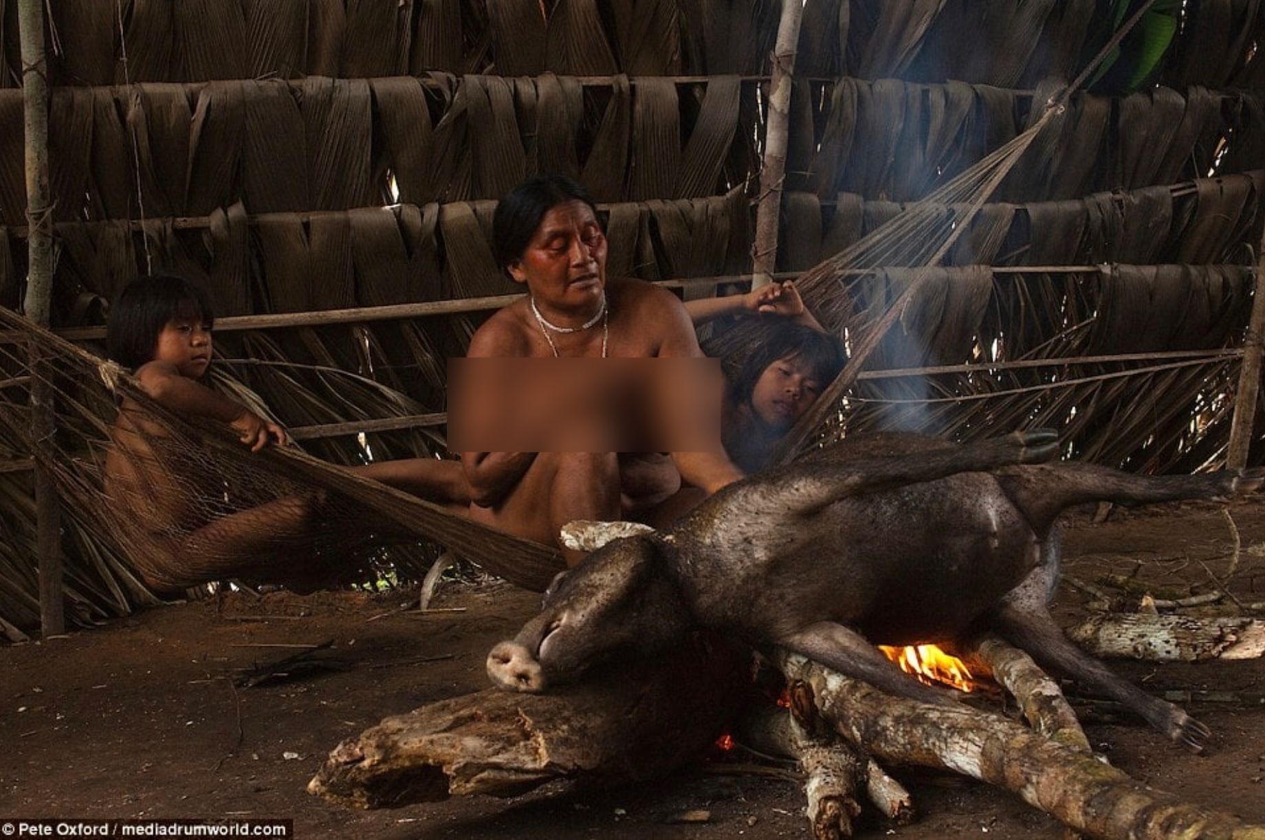 Дики люди видео. Ваорани, Первобытное племя. Племя ваорани Амазонка. Индейцы ваорани Эквадор.