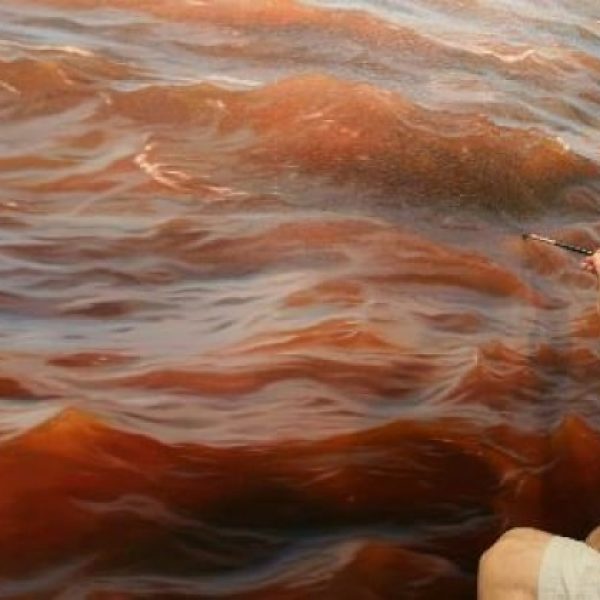 pintura 10