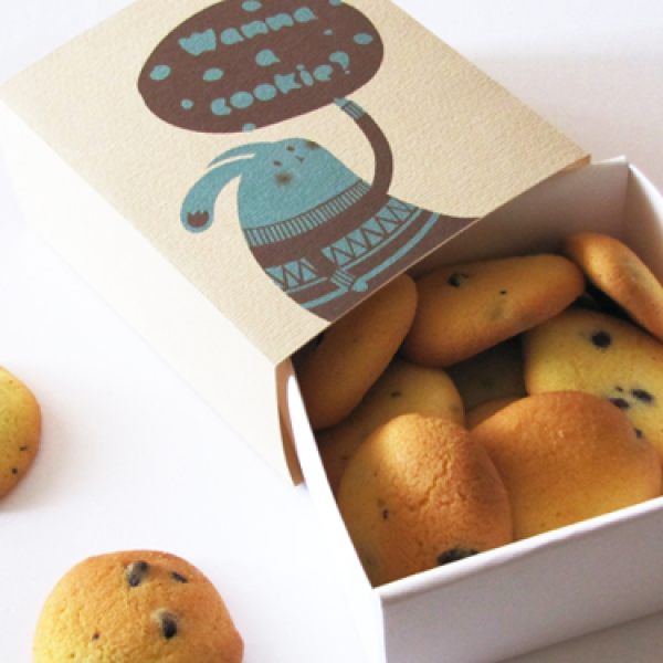 28-bunny-cookies-box-jar-design