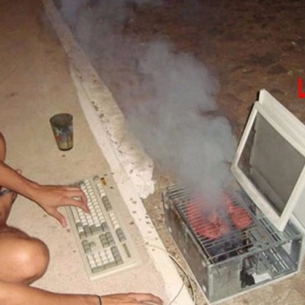 561