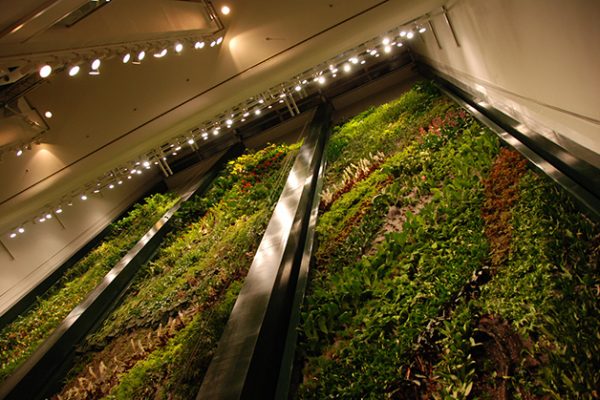 8VerticalGarden_Berlim1