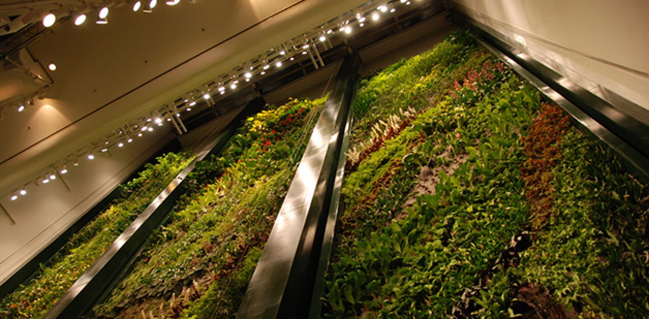 8VerticalGarden_Berlim1