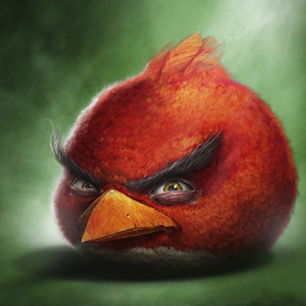 Angry-Birde-de-verdade-bem-legaus-2