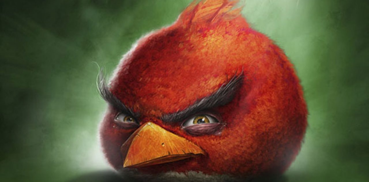 Angry-Birde-de-verdade-bem-legaus-2