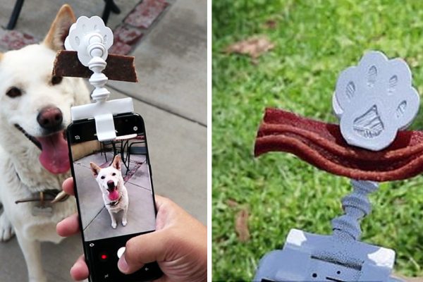 Gadget para tirar foto de caes