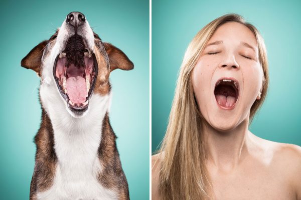 I-Am-Photographing-Dog-Owners-That-Mimic-Their-Dogs-Facial-Expressions15__880