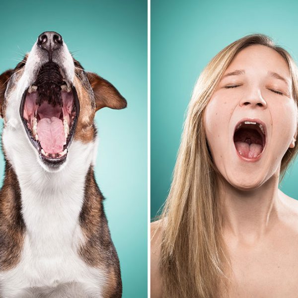 I-Am-Photographing-Dog-Owners-That-Mimic-Their-Dogs-Facial-Expressions15__880