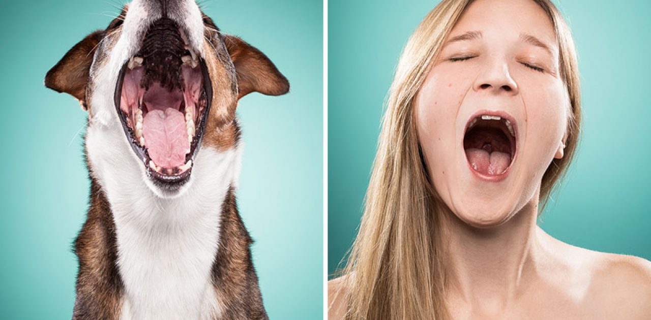 I-Am-Photographing-Dog-Owners-That-Mimic-Their-Dogs-Facial-Expressions15__880