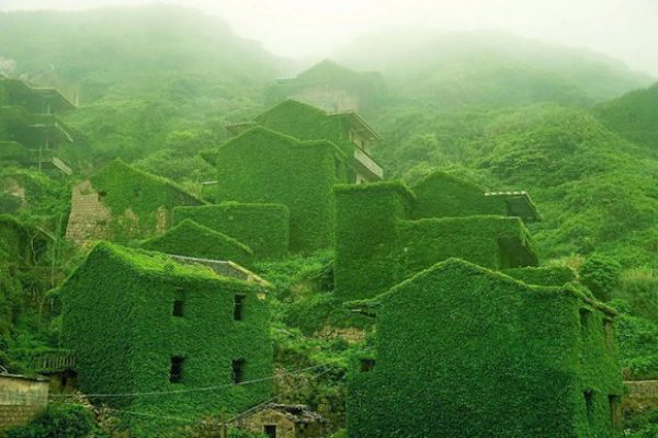 Natureza retoma vila abandonada de pescadores na China 1