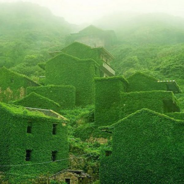 Natureza retoma vila abandonada de pescadores na China 1