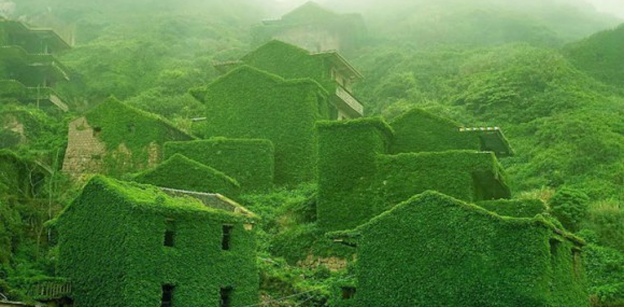 Natureza retoma vila abandonada de pescadores na China 1