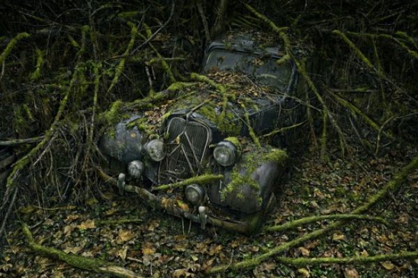 Peter Lippmann (10)