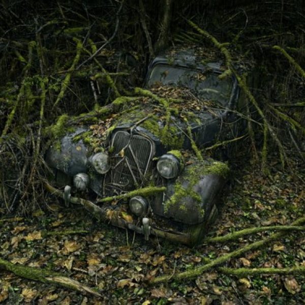 Peter Lippmann (10)