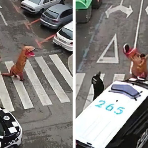 T-rex na rua capa
