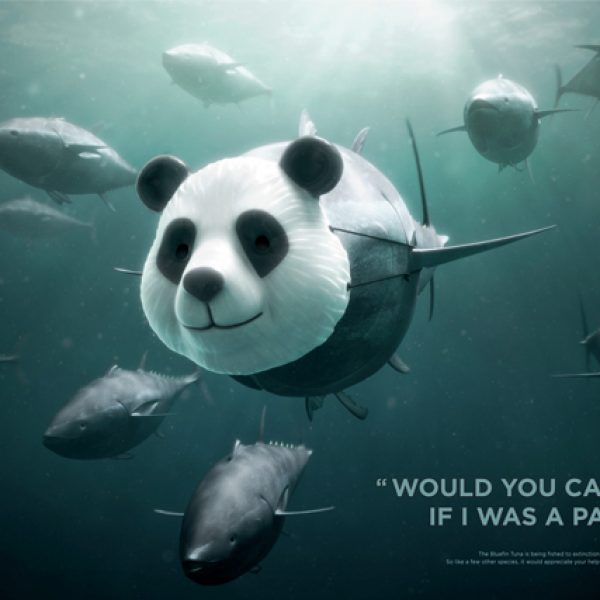 WWF-Bluefin-Tuna-overfishing