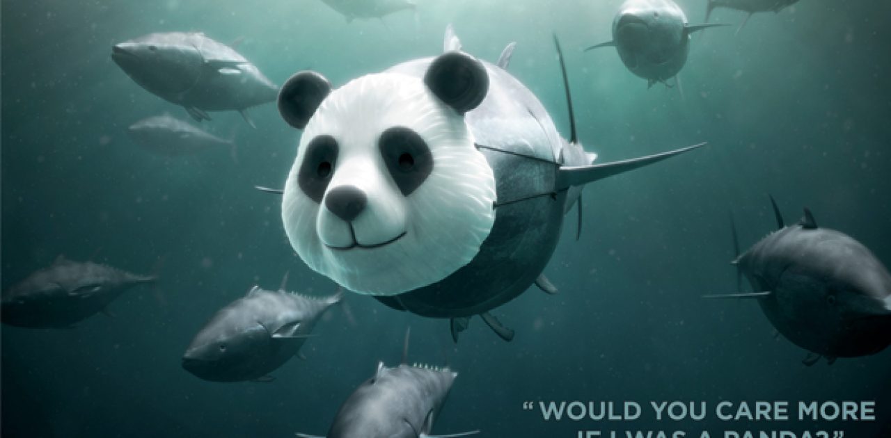 WWF-Bluefin-Tuna-overfishing