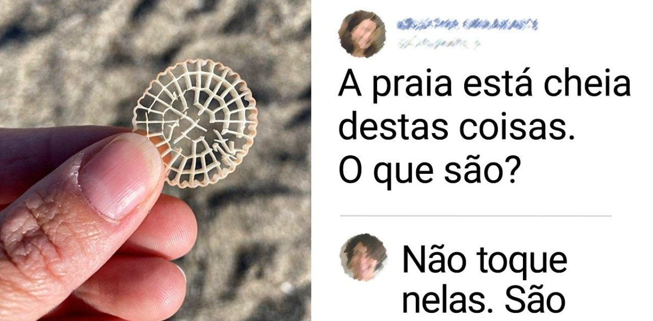 achados na praia capa