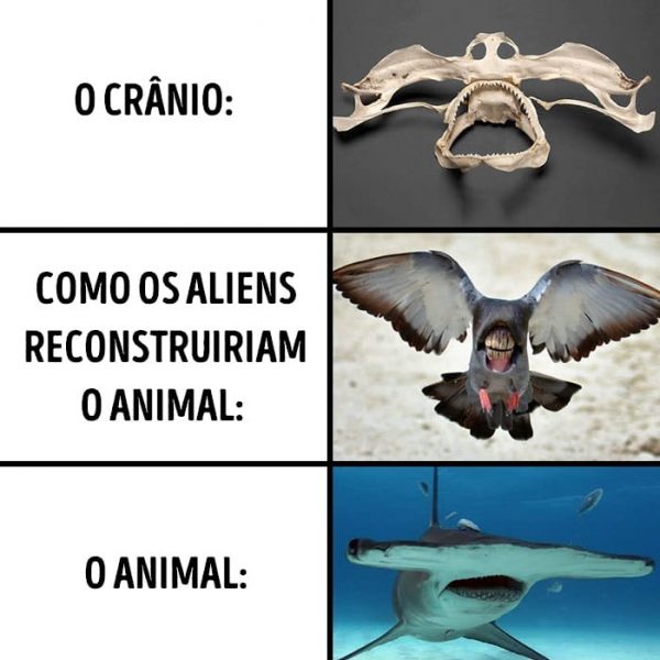 alienígenas 11