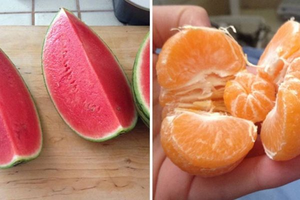 sorte com alimentos