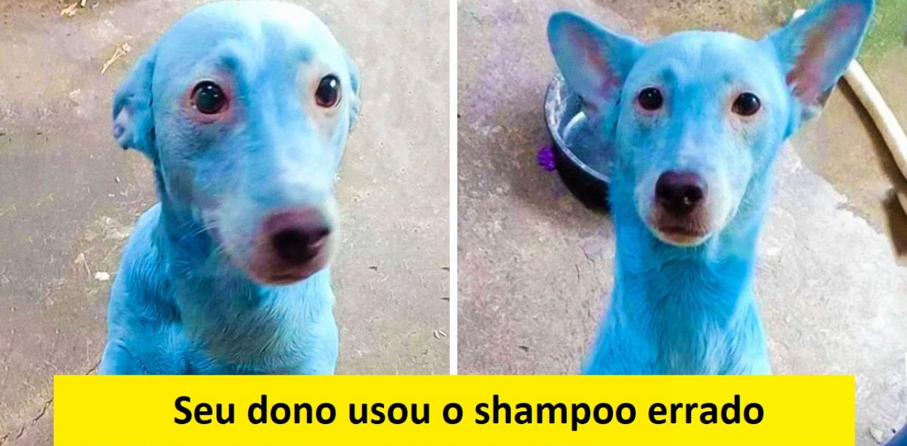 almas inocentes capa