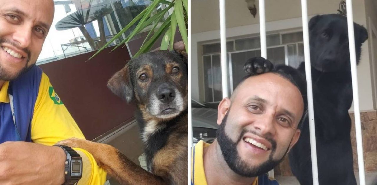 amigo dos cães capa