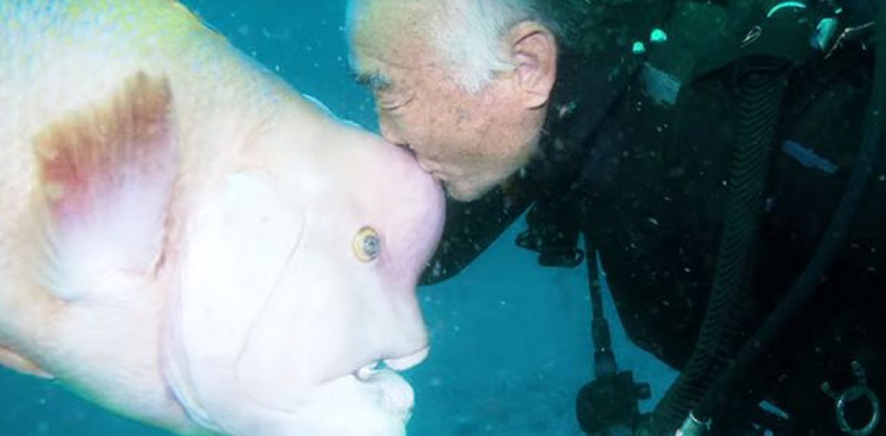 amizade entre peixe e homem capa