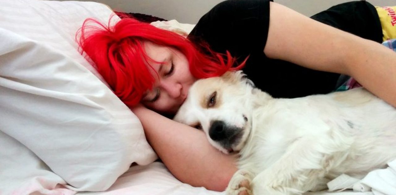 amor pelos animais 01