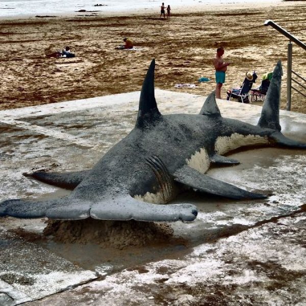 animais de areia 05