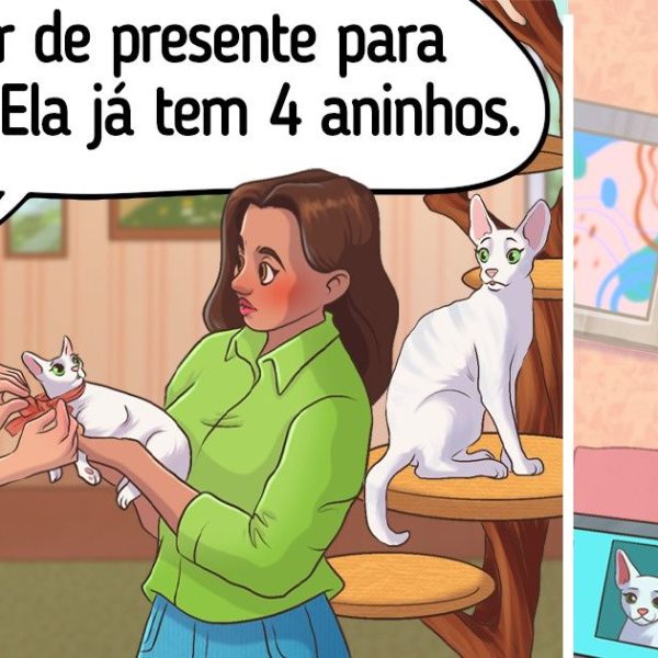 animais de estimação capa