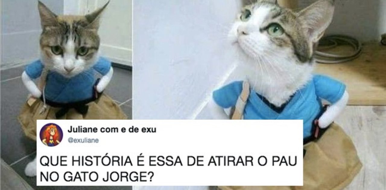 animais engraçados capa