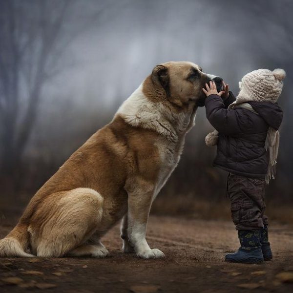 animal-children-photography-elena-shumilova-1