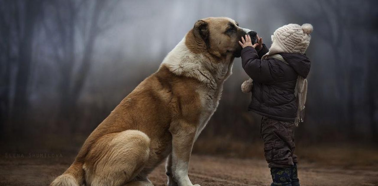 animal-children-photography-elena-shumilova-1